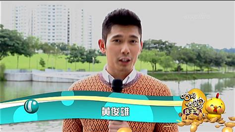 ELVIN NG 黄俊雄 .